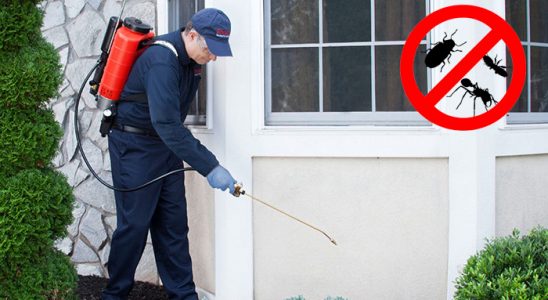 Yenifoça Bit İlaçlama böcek ilaçlama ve haşere kontrolü — ilaclama-tr.com